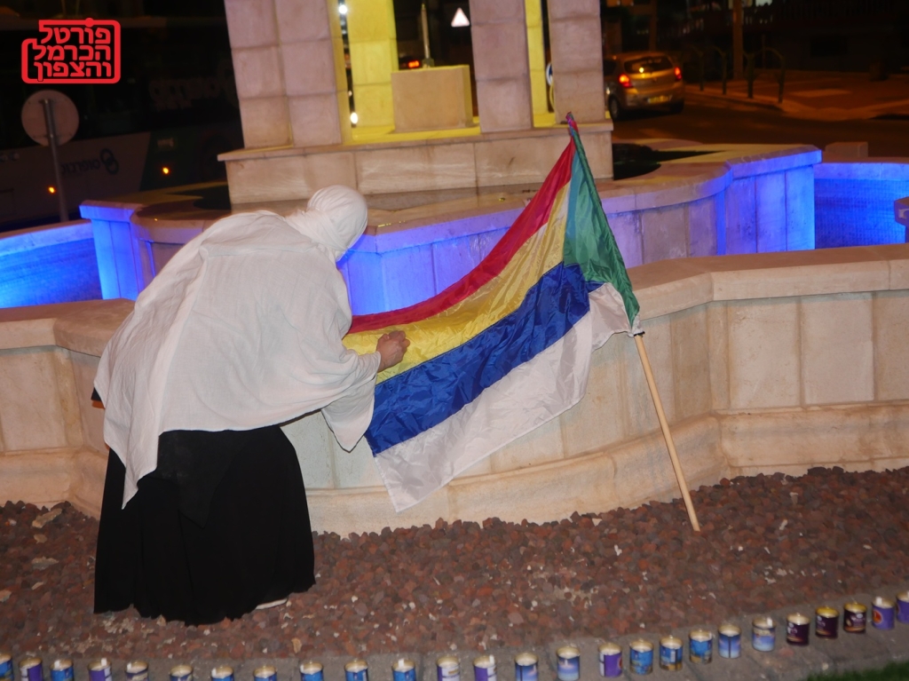 פורטל הכרמל