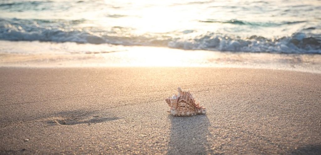 רעיונות לחופשת קיץ 2025