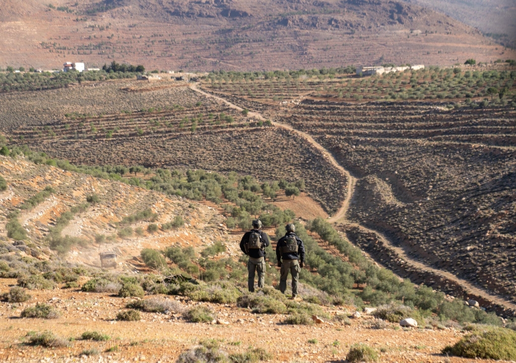 פורטל הכרמל