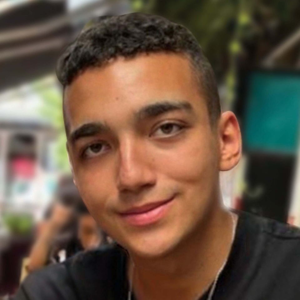 פורטל הכרמל