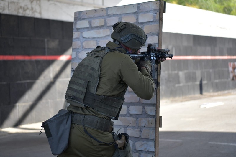 פורטל הכרמל