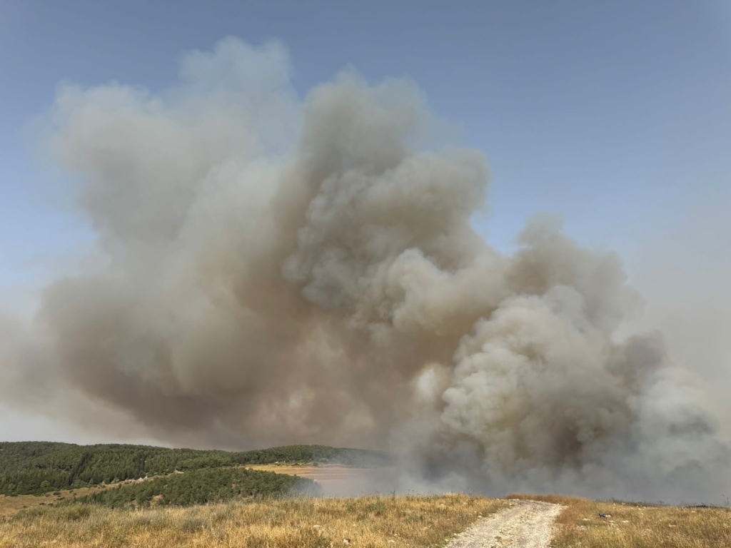 פורטל הכרמל