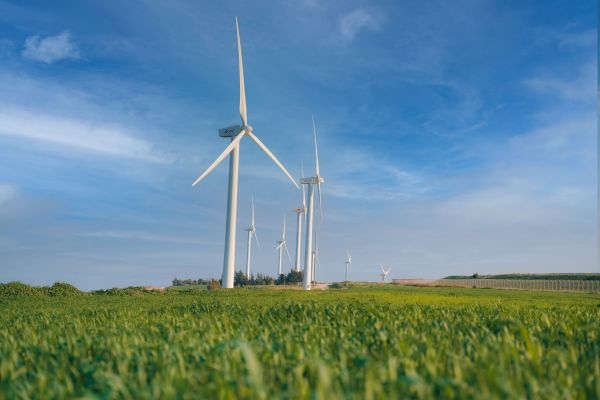 גיבוש בטבע כשצוותים מתחברים באמת