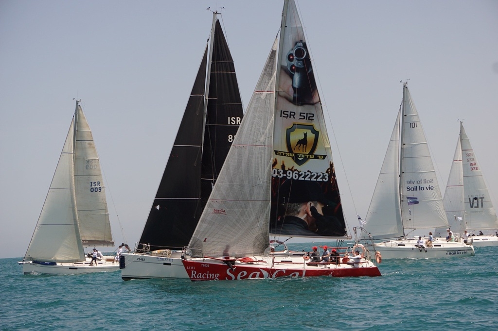 פורטל הכרמל