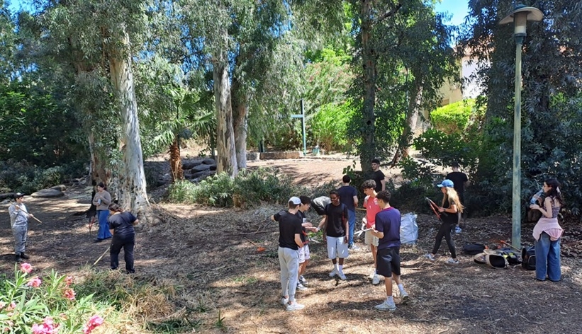 פורטל הכרמל