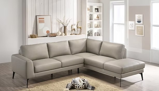 פורטל הכרמל