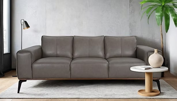 פורטל הכרמל