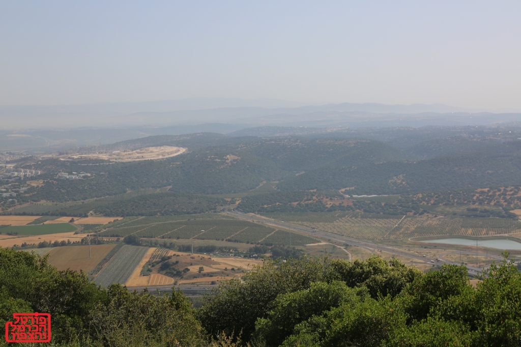 שערים יציגים למטבעות חוץ מיום 21/05/2025