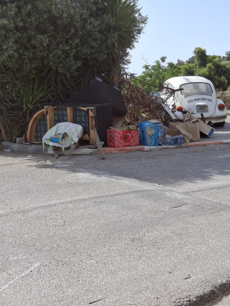 פורטל הכרמל