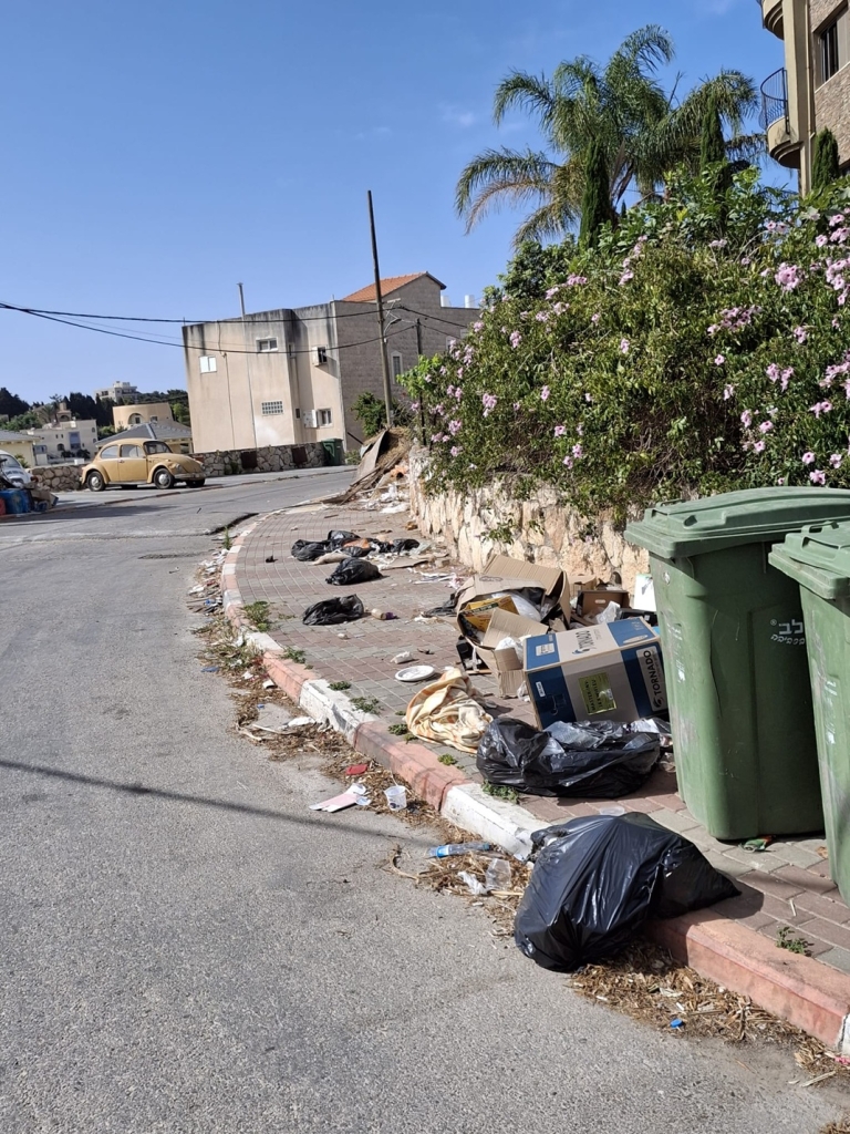 פורטל הכרמל