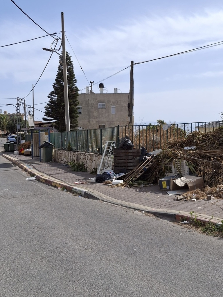 פורטל הכרמל