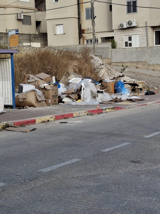 פורטל הכרמל