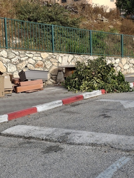 פורטל הכרמל