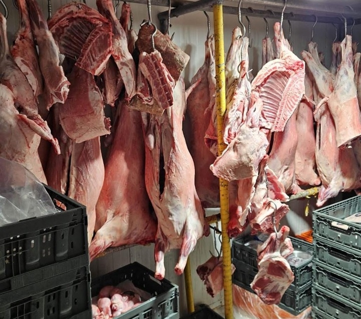 נתפס בשר לא למאכל אדם בשני אטליזים בדאלית אל כרמל