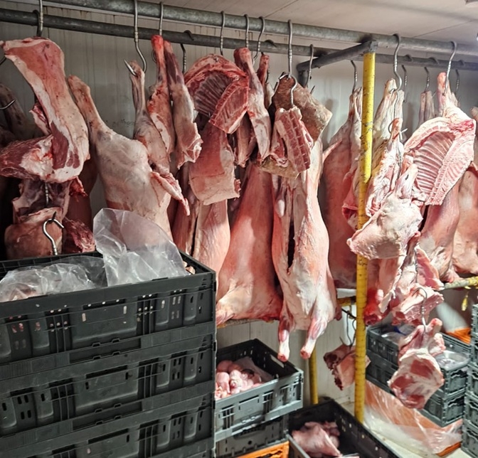 פורטל הכרמל