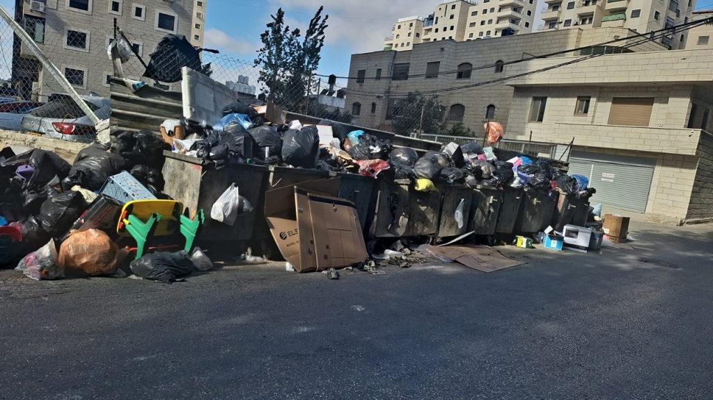 פורטל הכרמל