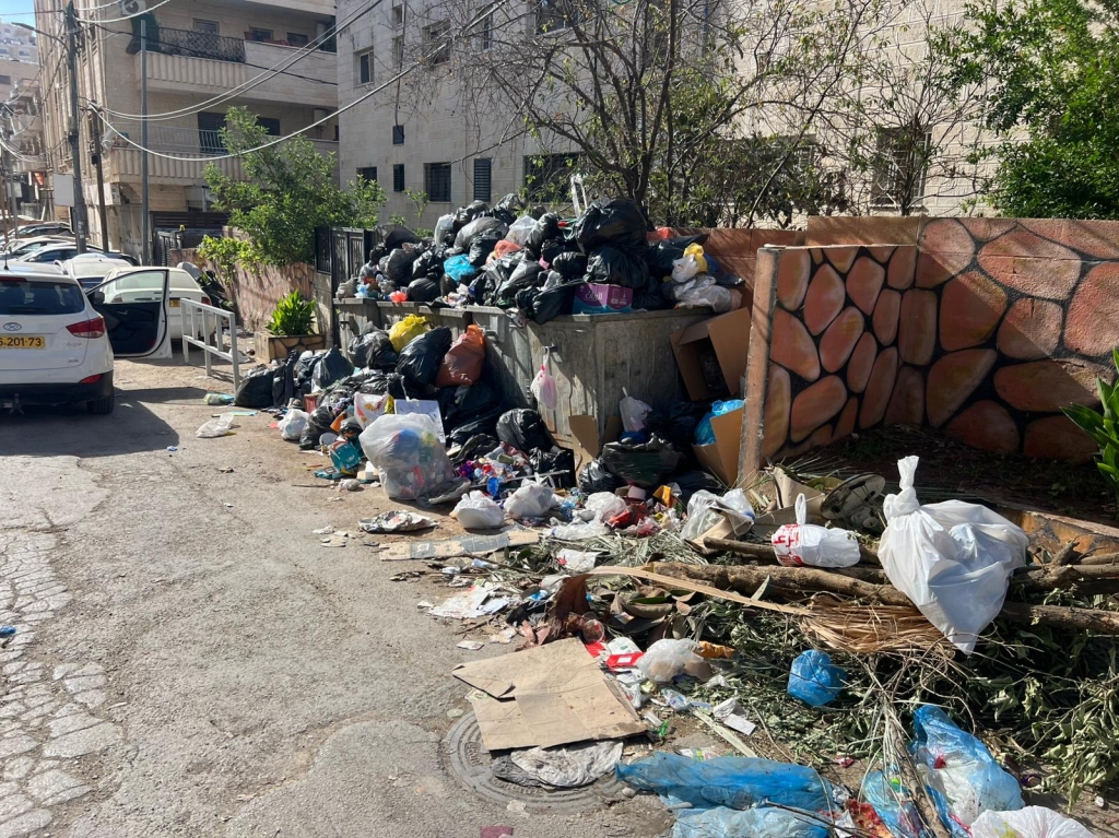 פורטל הכרמל