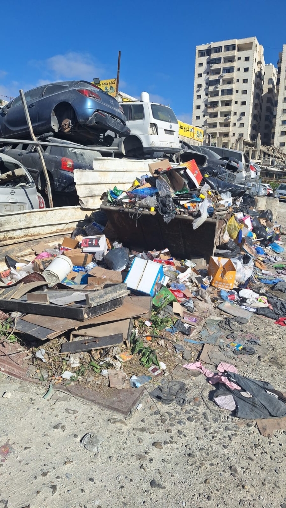 פורטל הכרמל