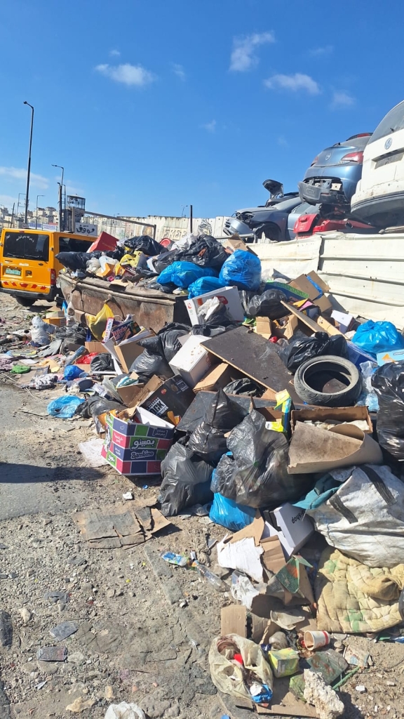 פורטל הכרמל