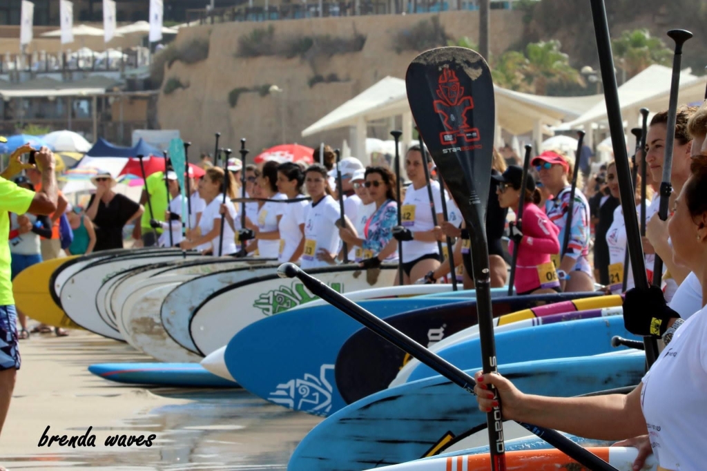 פורטל הכרמל