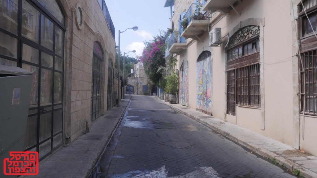 פורטל הכרמל