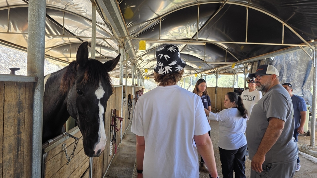 פורטל הכרמל