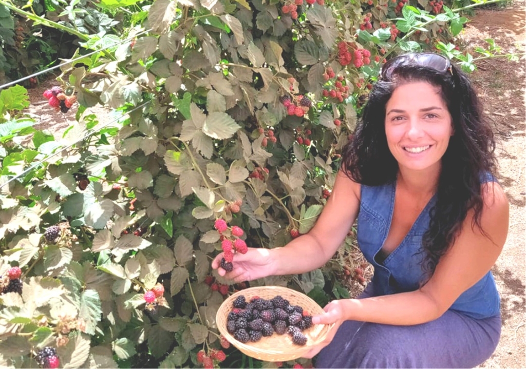 בוסתן בראשית בעין זיוון מזמין לקטיף עצמי