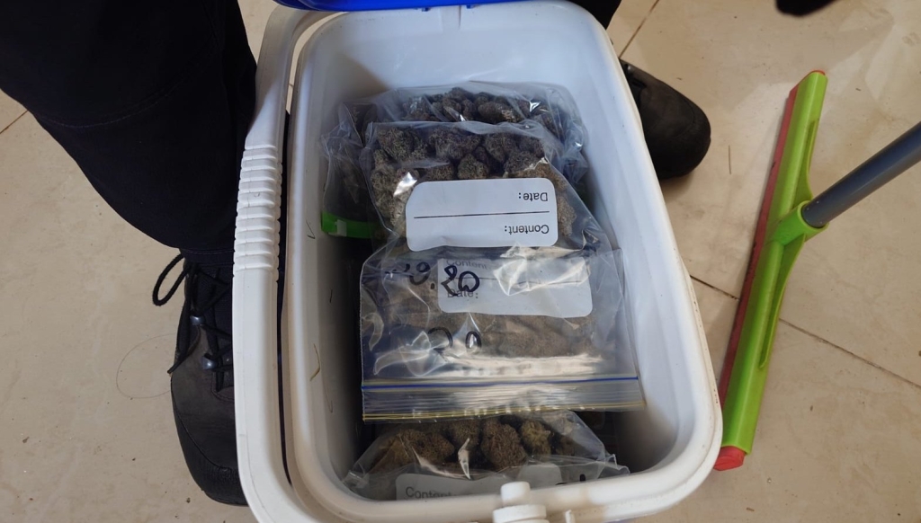 פורטל הכרמל