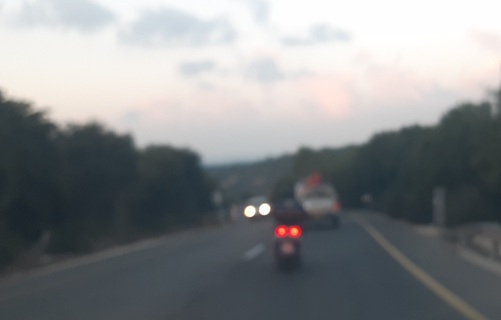 פורטל הכרמל