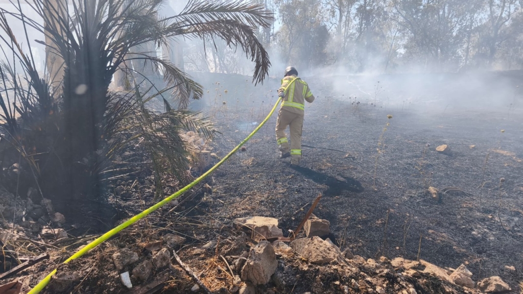 פורטל הכרמל