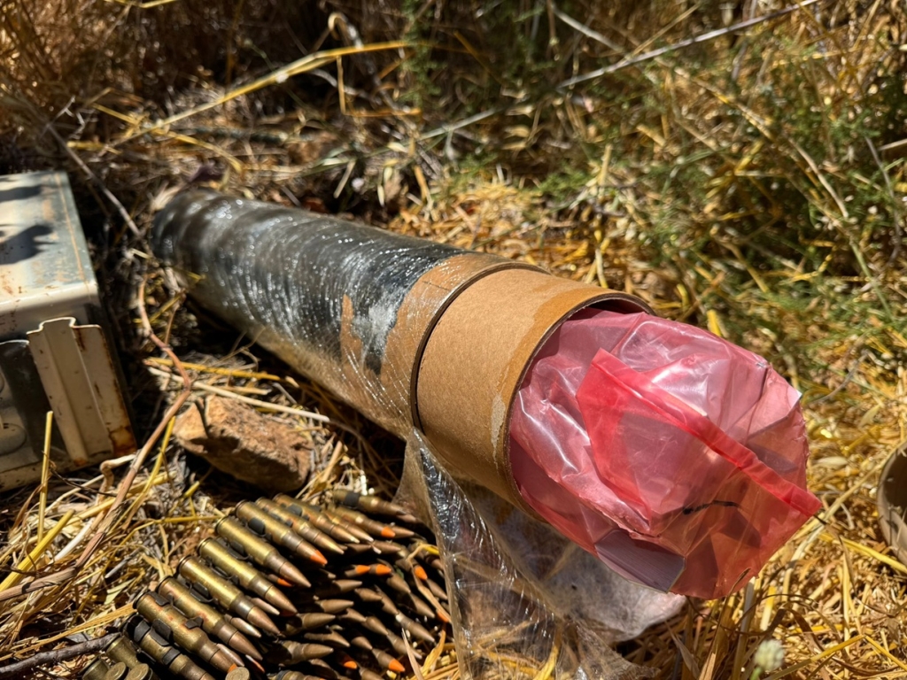 פורטל הכרמל