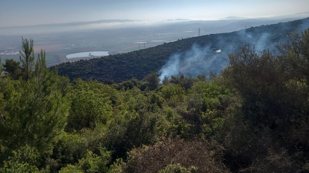 פורטל הכרמל