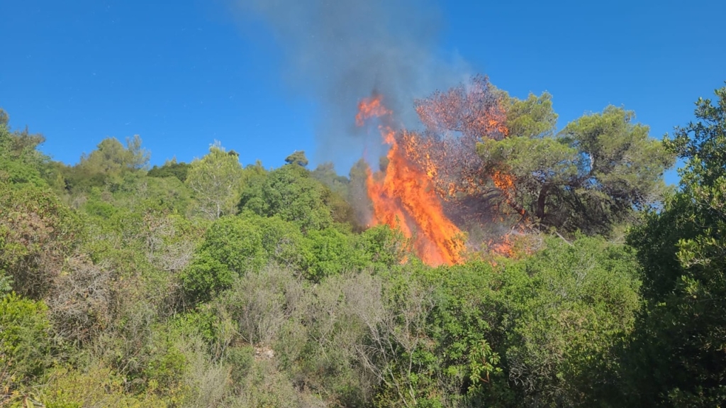 פורטל הכרמל