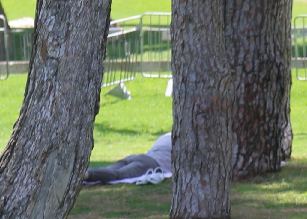 תורחב זכותם של נפגעי עבירות מין ואלימות