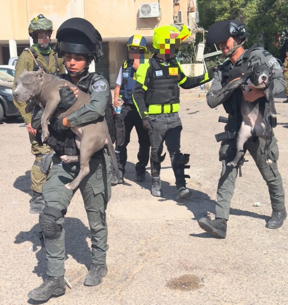 פורטל הכרמל