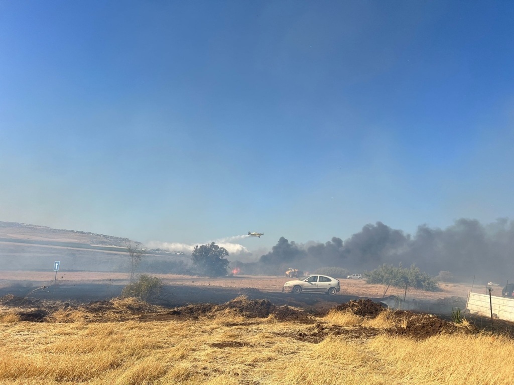 פורטל הכרמל