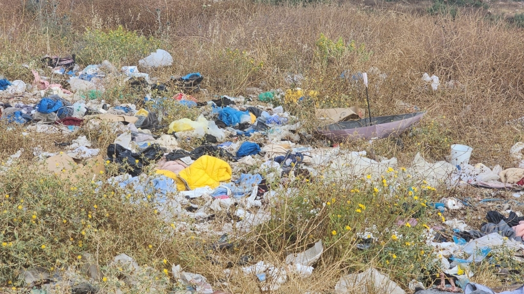 פורטל הכרמל