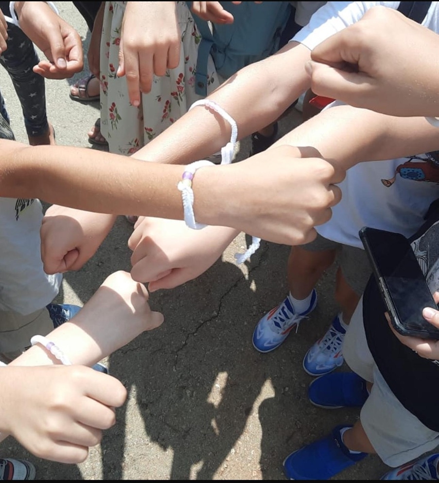 פורטל הכרמל