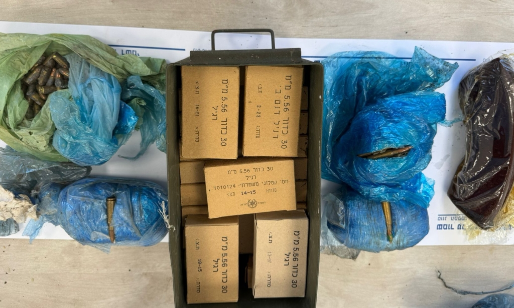 פורטל הכרמל