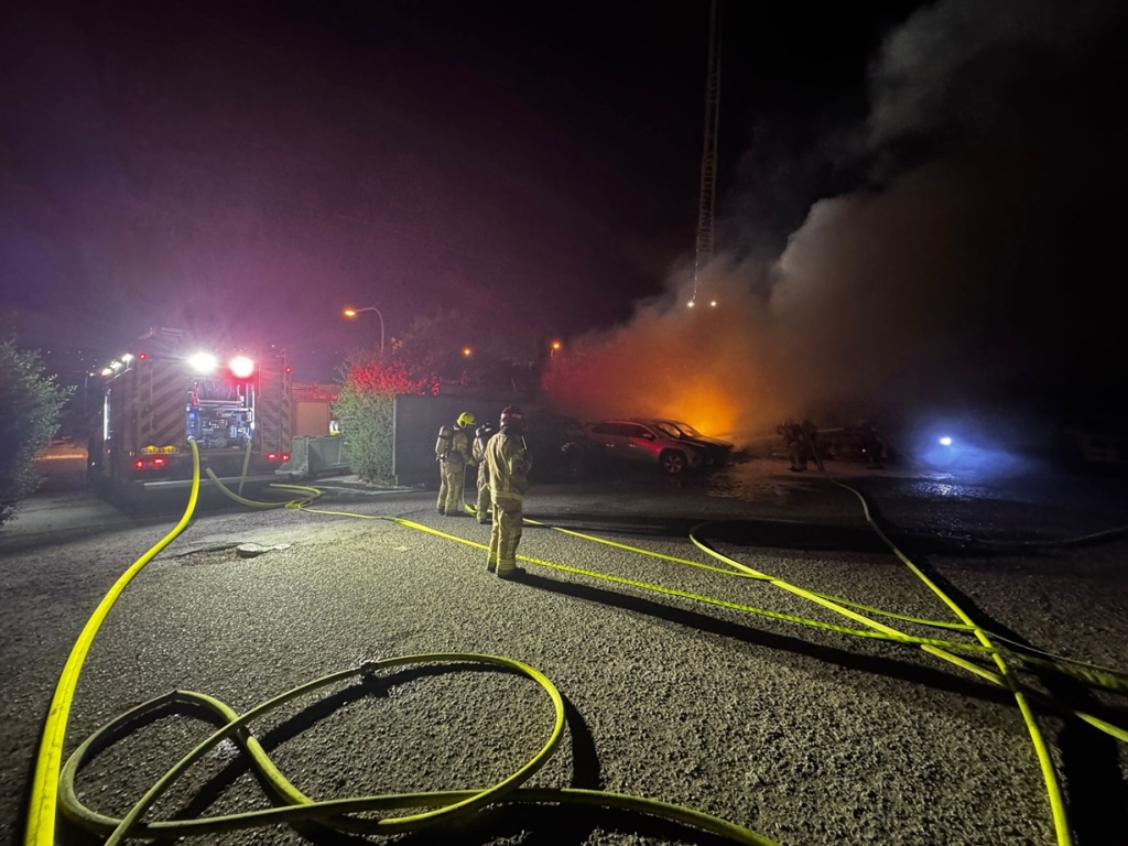 פורטל הכרמל