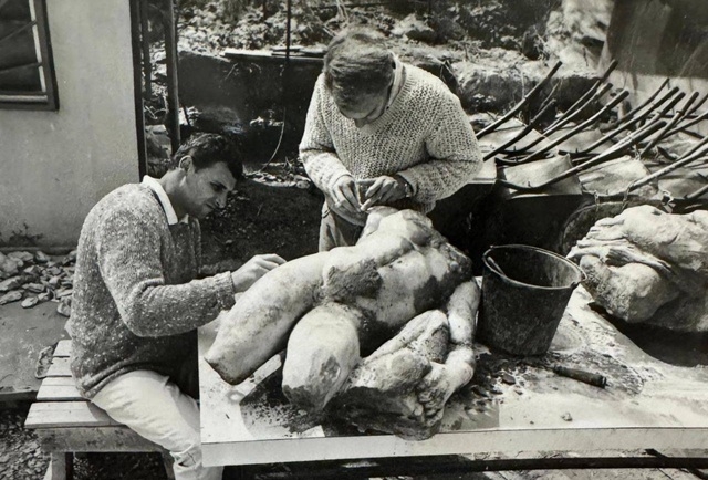 פורטל הכרמל