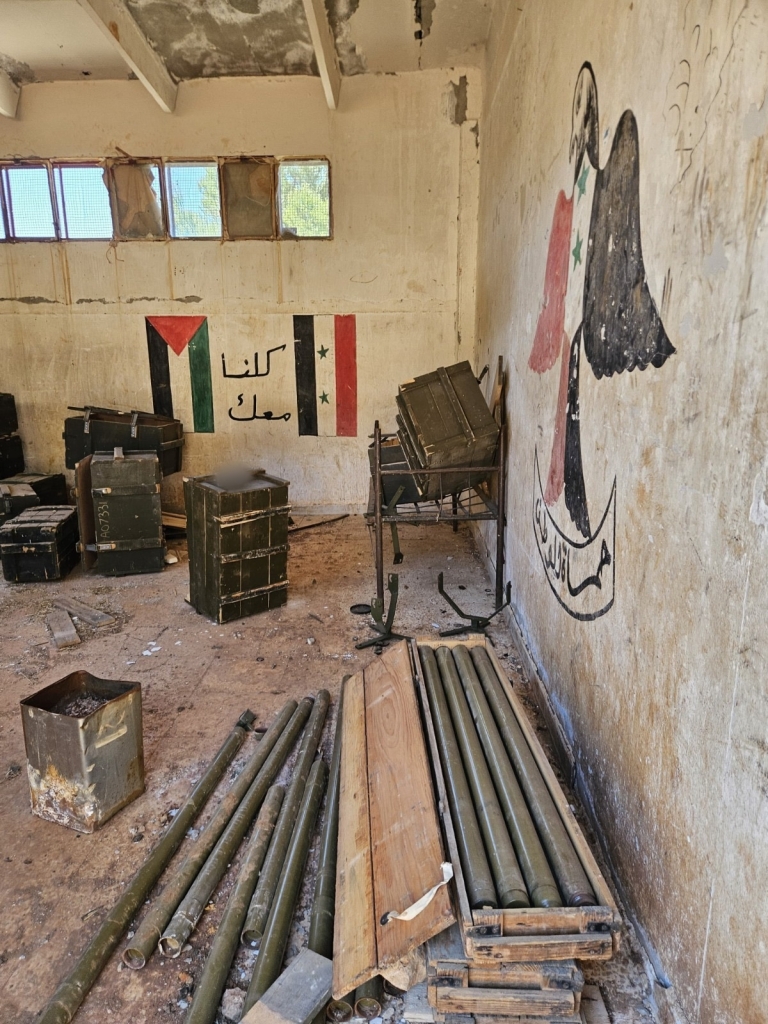 פורטל הכרמל