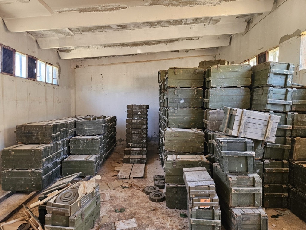 פורטל הכרמל