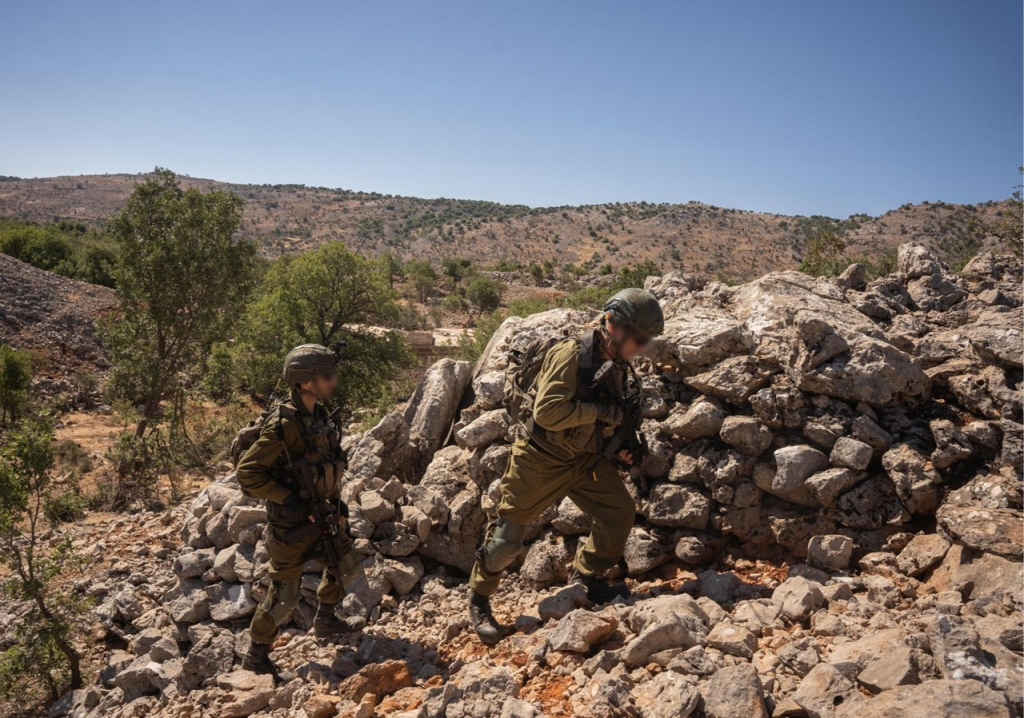 פורטל הכרמל