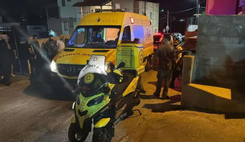 פורטל הכרמל