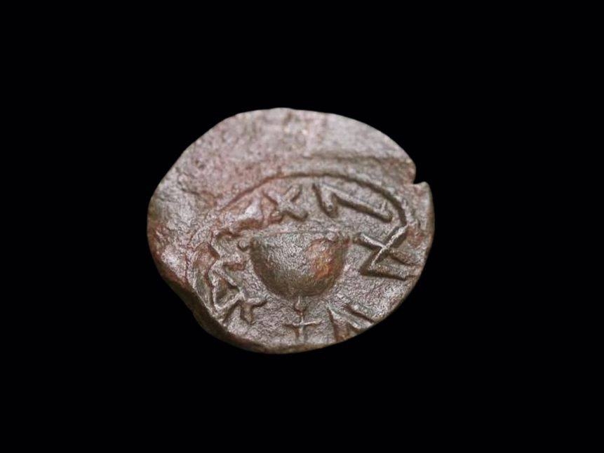 פורטל הכרמל