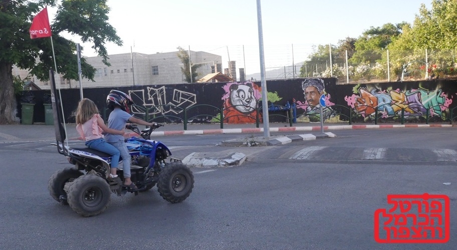  רק ארבע רשויות מ-19 הרשויות הדרוזיות מטפלות בבני נוער בסיכון