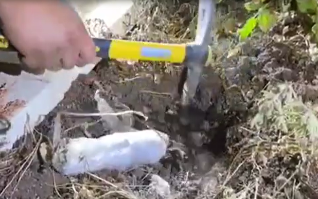 פורטל הכרמל