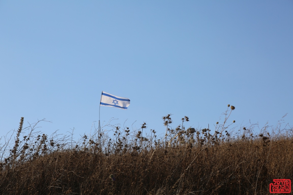 תקיפות נרחבות של צה"ל בלבנון