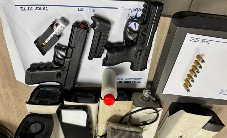 פורטל הכרמל